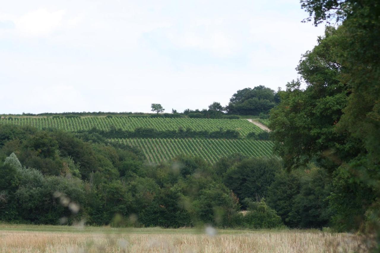 Chalet Aux Pied Des Vignes Montigny  Eksteriør bilde